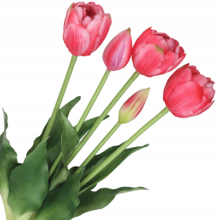Umelé kvety,ovocie - TULIPSOVÁ KYTICA Z GUMOVÝCH TULIPÁNOV, POGUMENÁ AKO ŽIVÉ